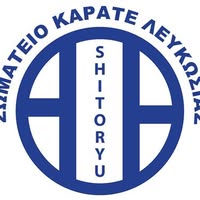Shito Ryu Nicosia Karate Association